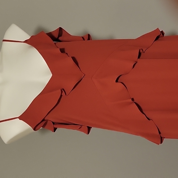 Beautiful BCBG MaxAzria Flowy Dress - Picture 3 of 8